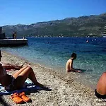 Alo Jozic * Medvinjak