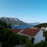Alo Jozic